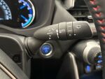 Toyota RAV4 Plug-in 2022 Hopea