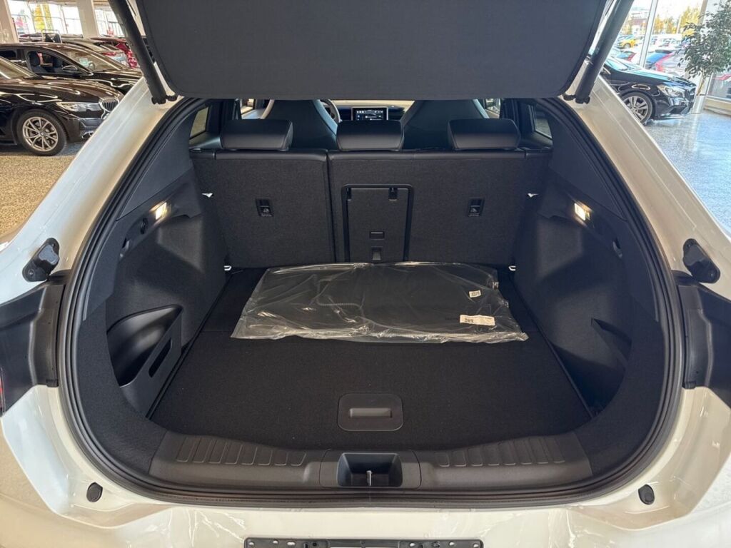 Ford Capri 2025 Frozen White