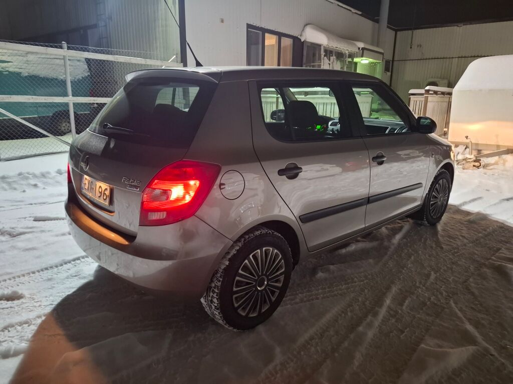 Skoda Fabia 2009 Ruskea (beige)