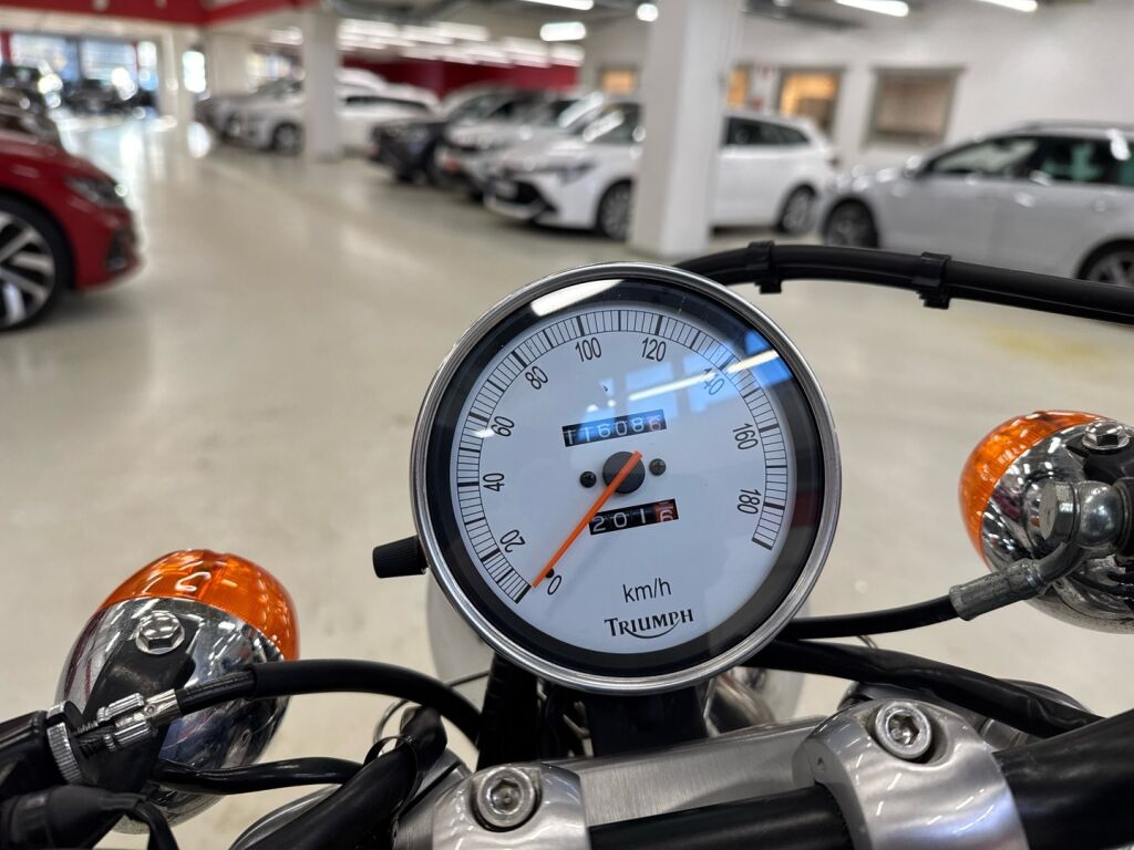 Triumph AMERICA 2004 