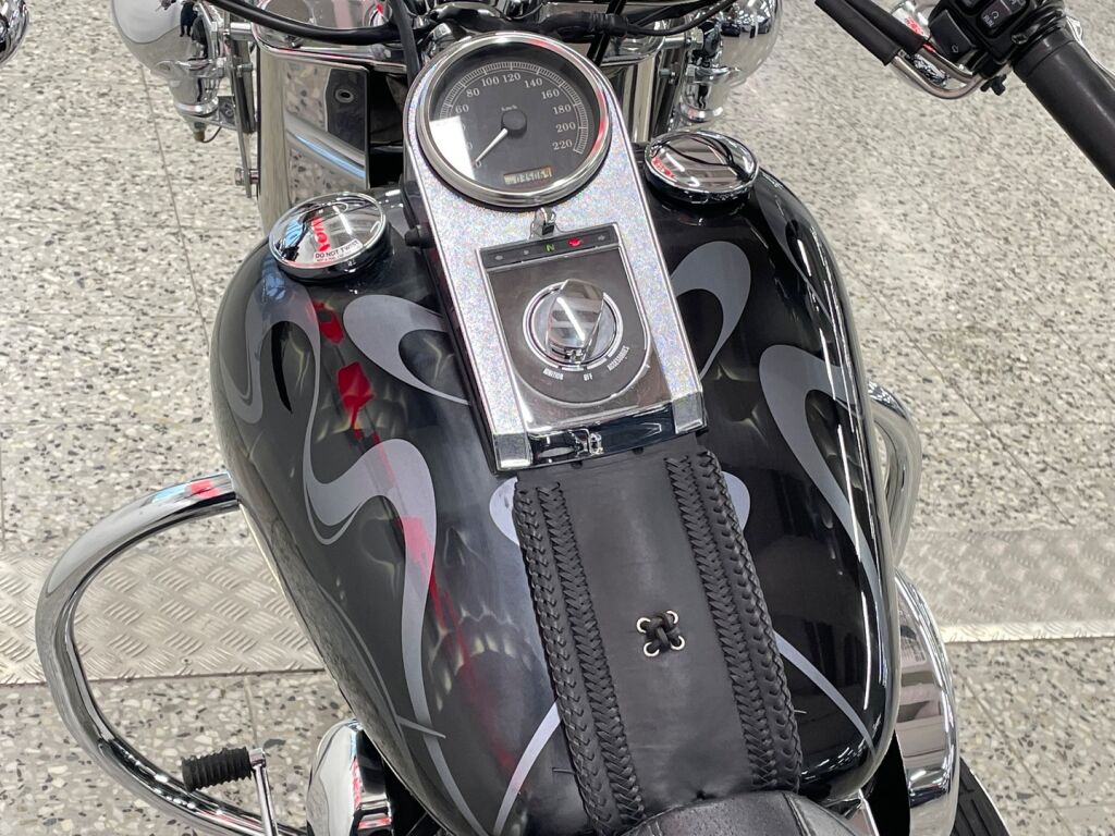 Harley-davidson SOFTAIL 2004 MH K 107
