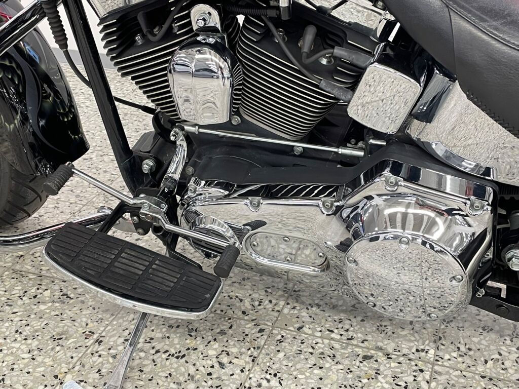 Harley-davidson SOFTAIL 2004 MH K 107