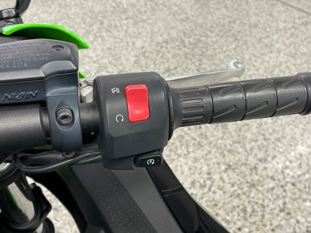 Kawasaki NINJA 2017 