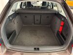 Skoda Octavia 2014 Ruskea (beige)