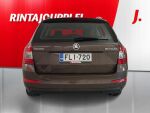 Skoda Octavia 2014 Ruskea (beige)