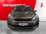 Kia Ceed 2016 Ruskea (beige)