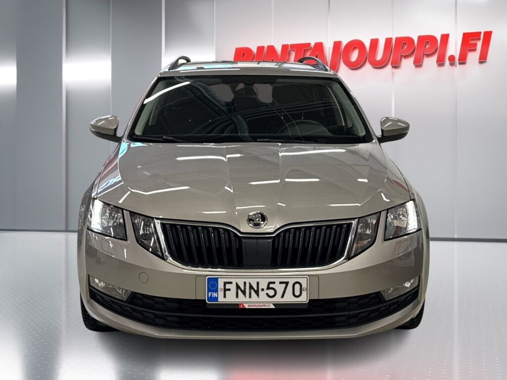 Skoda Octavia 2019 Ruskea (beige)
