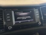Skoda Kodiaq 2019 Sininen