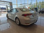 Toyota Corolla 2020 Hopea