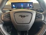 Ford Mustang Mach-E 2022 Punainen