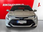 Toyota Corolla 2020 Hopea