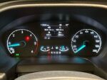 Ford Transit 2021 Harmaa
