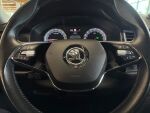 Skoda Kodiaq 2020 Vihreä