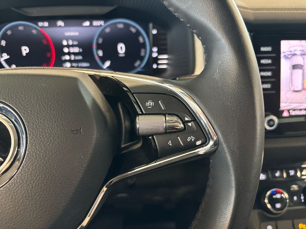 Skoda Kodiaq 2023 Sininen
