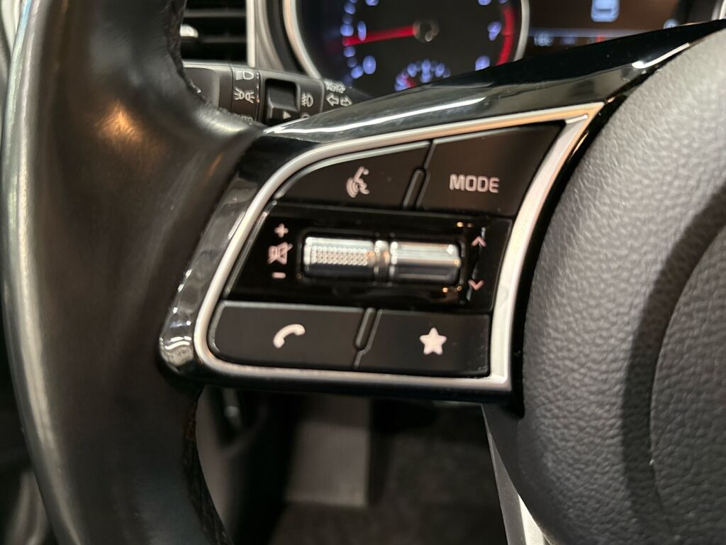 Kia Ceed 2023 Vihreä