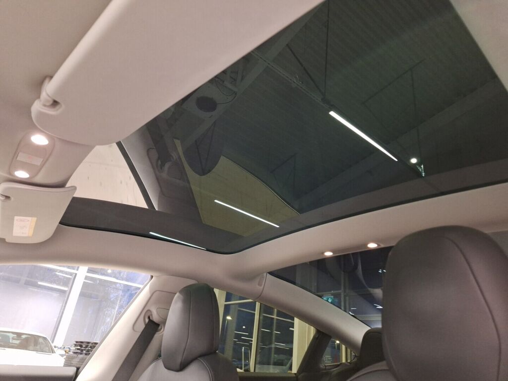 Tesla Model 3 2019 Sininen