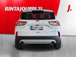 Ford Kuga 2023 Valkoinen