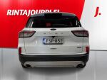 Ford Kuga 2023 Valkoinen