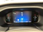 Ford Transit 2026 Musta