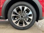 Ford Puma 2026 Punainen