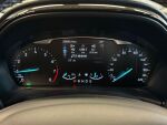 Ford Fiesta 2020 Harmaa