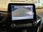 Ford Fiesta 2020 Harmaa
