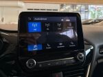 Ford Fiesta 2020 Harmaa