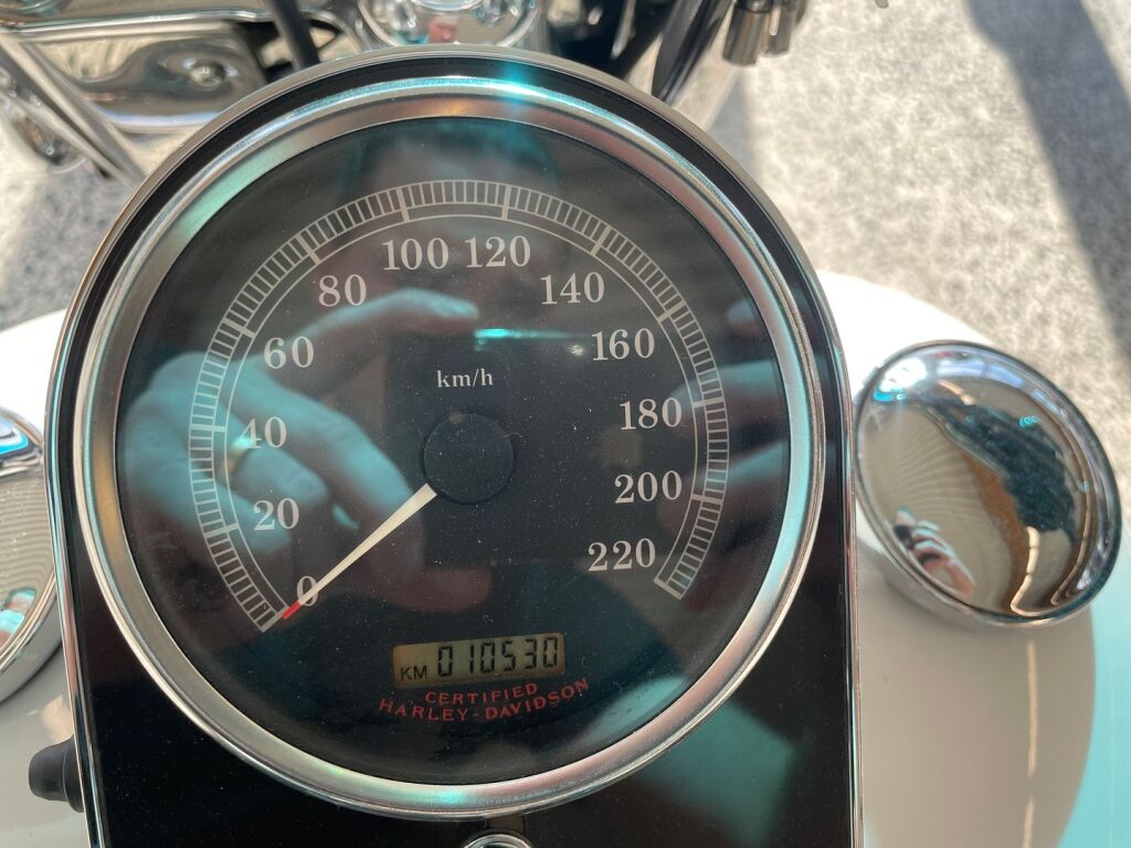 Harley-davidson SOFTAIL 2005 