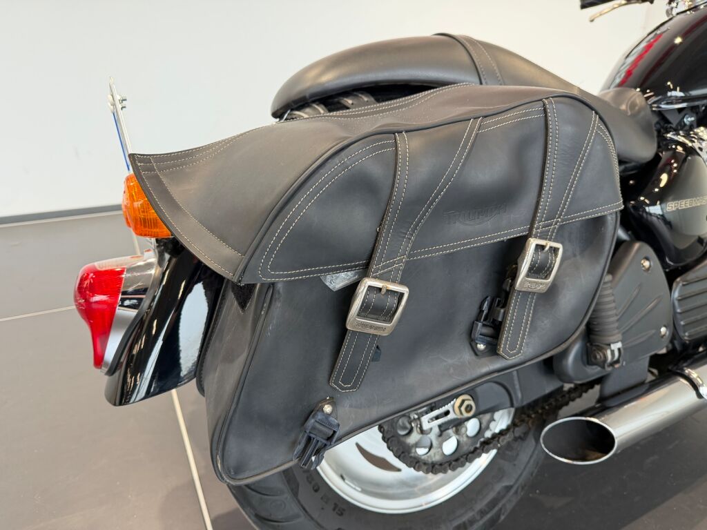 Triumph Speedmaster 2005 