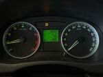 Skoda Fabia 2009 Ruskea (beige)