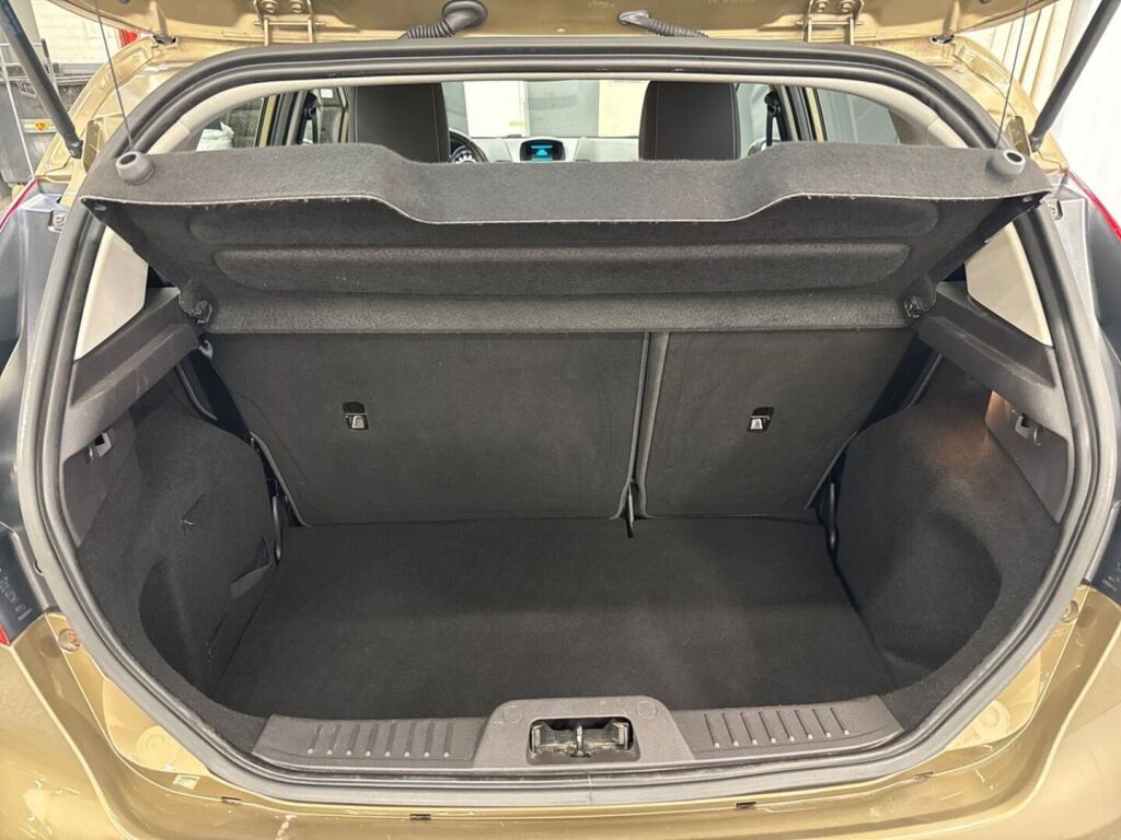 Ford Fiesta 2014 Ruskea (beige)