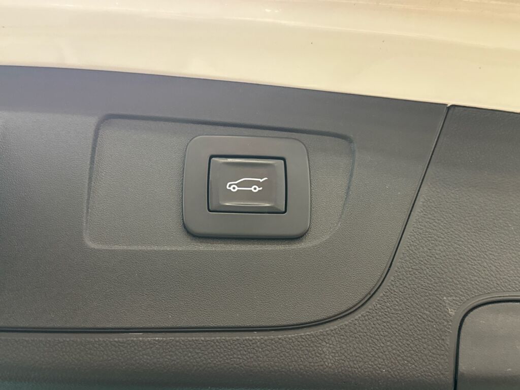 Opel Insignia 2019 Valkoinen