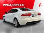 Jaguar XE 2015 Valkoinen
