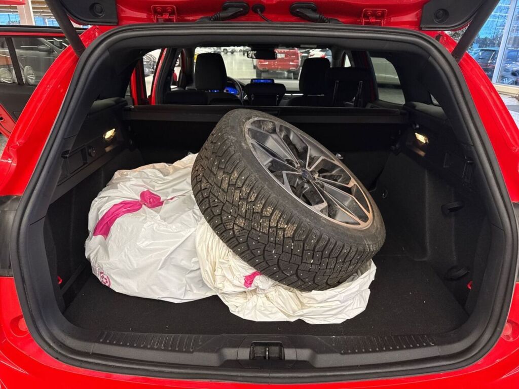 Ford Focus 2020 Punainen