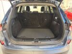 Ford Kuga 2020 Sininen