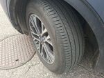 Ford Kuga 2020 Sininen