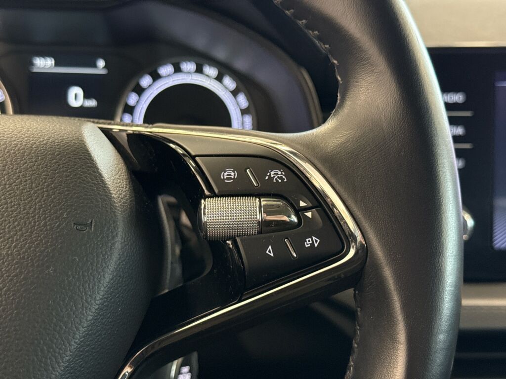 Skoda Kamiq 2020 Harmaa