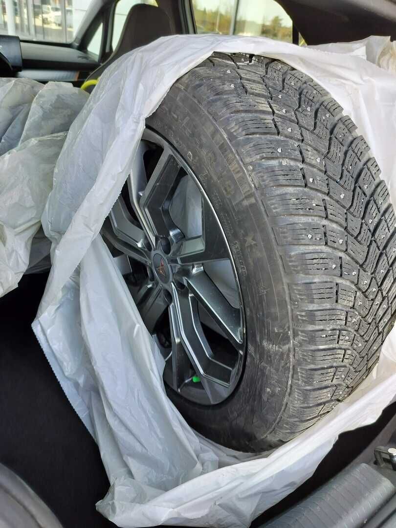 Cupra Born 2022 Valkoinen