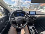 Ford Kuga 2022 Valkoinen