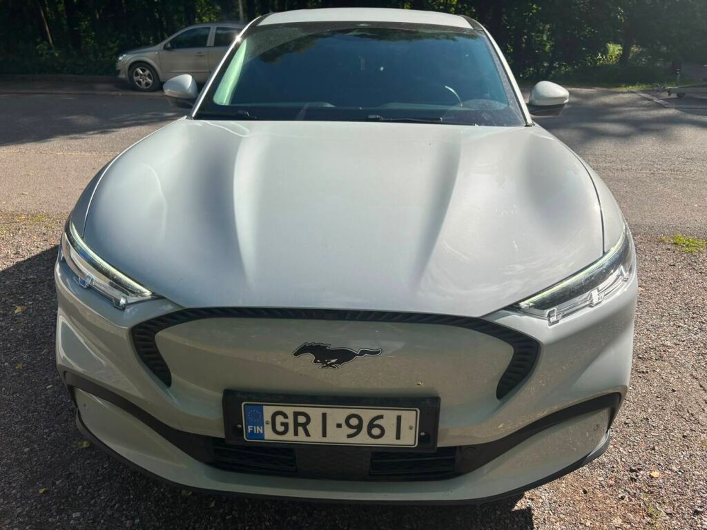 Ford Mustang Mach-E 2021 Valkoinen