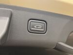 Kia Seltos 2027 Ruskea (beige)