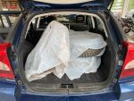 Dodge Caliber 2009 Sininen