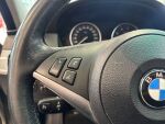 BMW 520 2008 Ruskea (beige)
