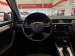 Skoda Octavia 2014 Ruskea (beige)