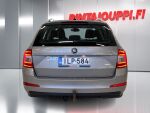 Skoda Octavia 2014 Ruskea (beige)