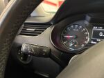 Skoda Octavia 2014 Ruskea (beige)