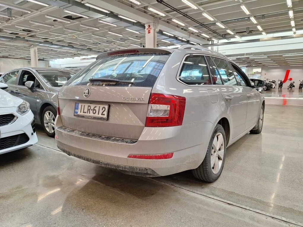 Skoda Octavia 2014 Ruskea (beige)