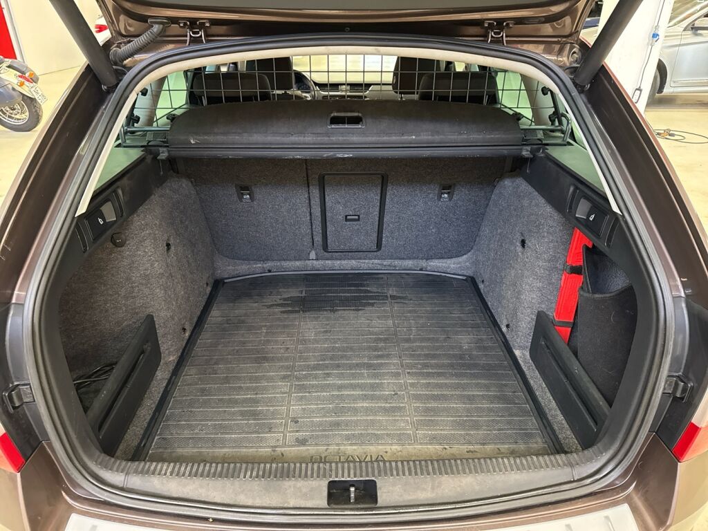 Skoda Octavia 2014 Ruskea (beige)