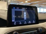 Ford Focus 2019 Harmaa