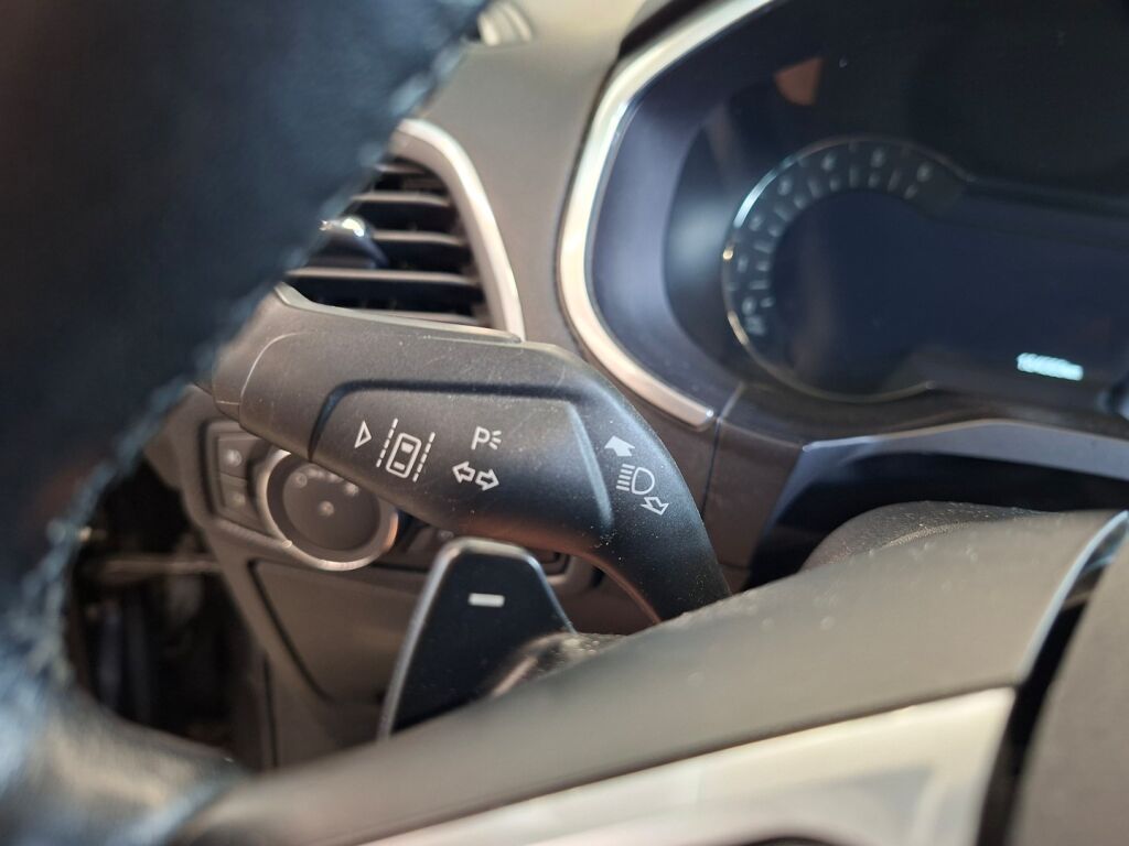 Ford S-Max 2019 Harmaa